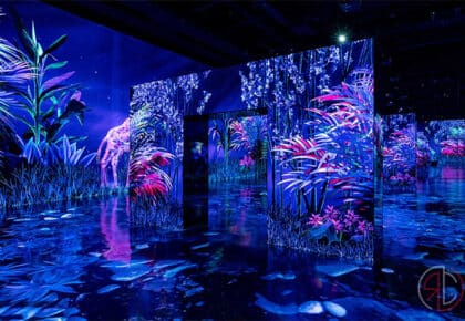 Arte Museum in Las Vegas