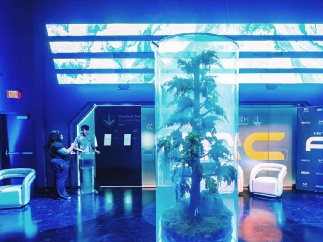Las Vegas Interstellar Arc Tree Entrance