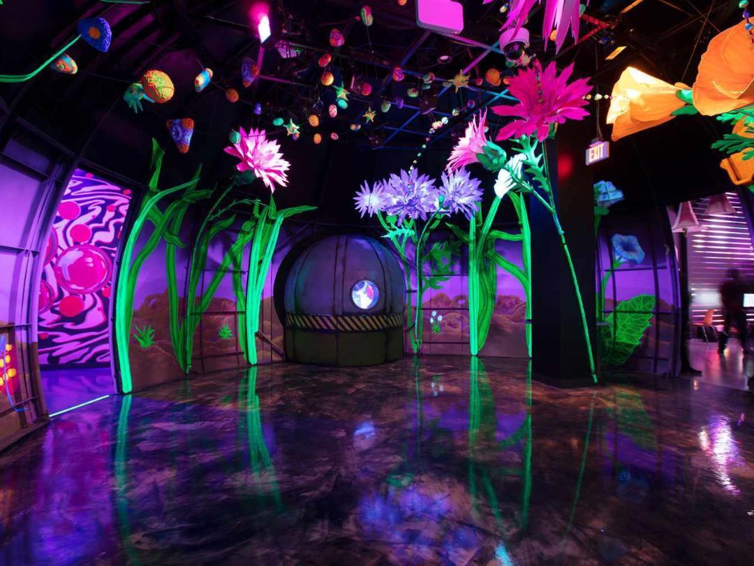 Las Vegas Omega Mart Flowers Space Room