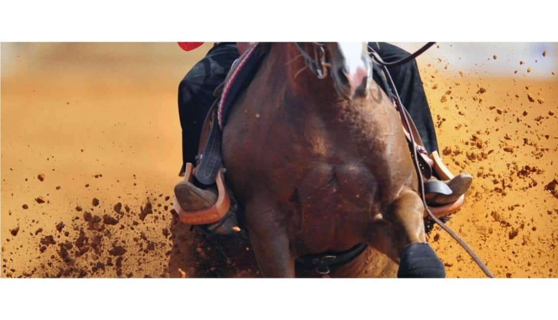 Morgan Medallion Horse Show in Las Vegas
