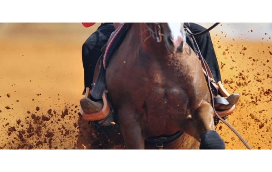Morgan Medallion Horse Show in Las Vegas